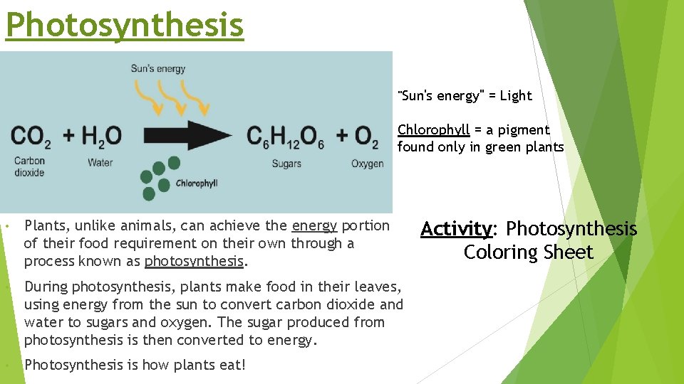 Photosynthesis "Sun's energy" = Light Chlorophyll = a pigment found only in green plants