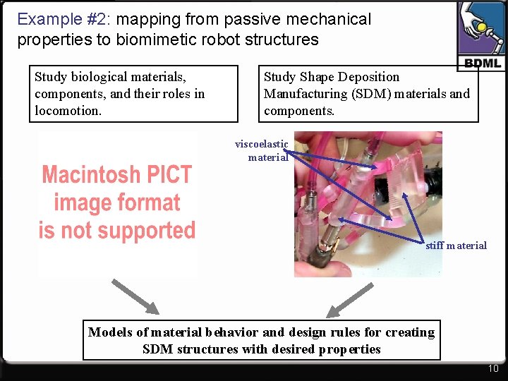 Example #2: mapping from passive mechanical properties to biomimetic robot structures Study biological materials,
