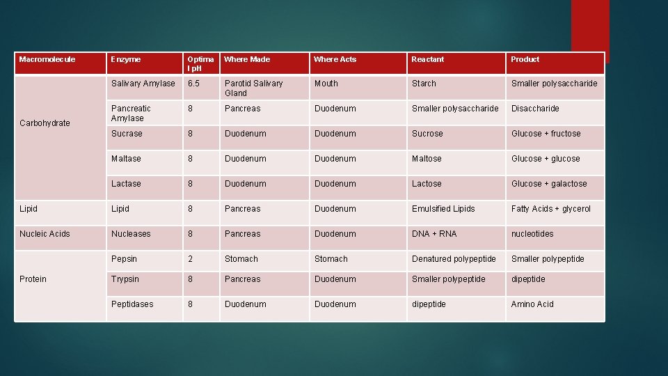 Macromolecule Enzyme Optima l p. H Where Made Where Acts Reactant Product Salivary Amylase