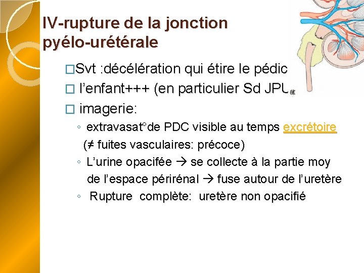 IV-rupture de la jonction pyélo-urétérale �Svt : décélération qui étire le pédicule rénal. �