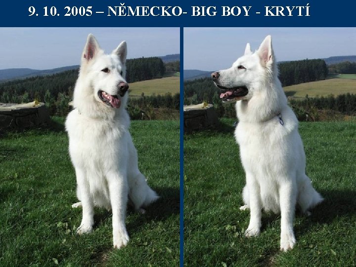 9. 10. 2005 – NĚMECKO- BIG BOY - KRYTÍ 