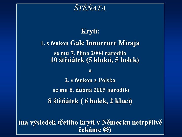 ŠTĚŇATA Krytí: 1. s fenkou Gale Innocence Miraja se mu 7. října 2004 narodilo