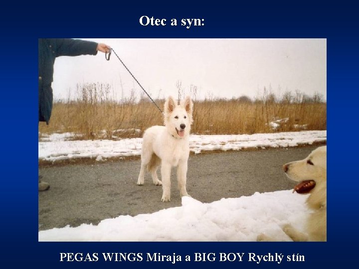 Otec a syn: PEGAS WINGS Miraja a BIG BOY Rychlý stín 