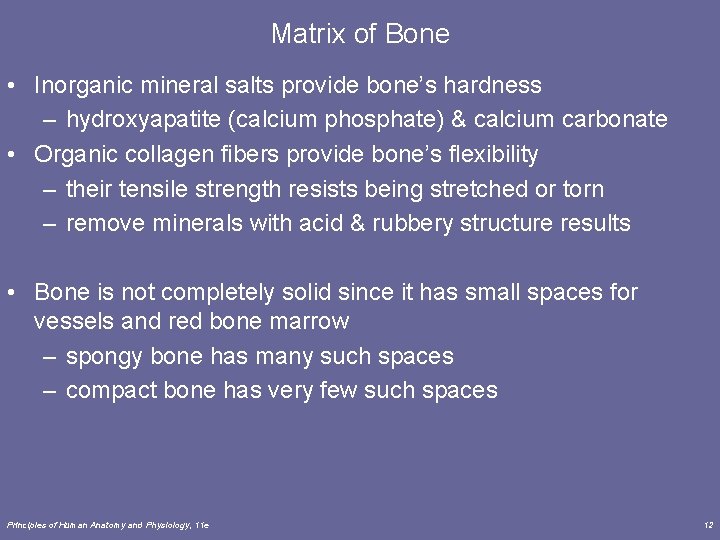 Matrix of Bone • Inorganic mineral salts provide bone’s hardness – hydroxyapatite (calcium phosphate)