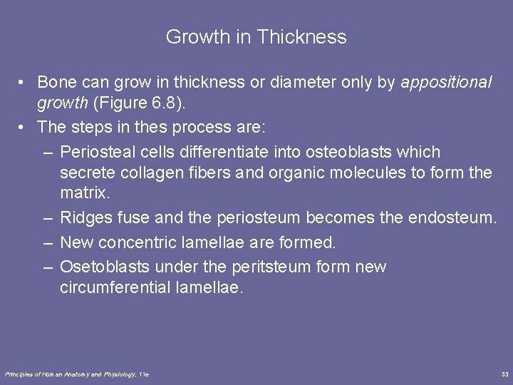 Growth in Thickness • Bone can grow in thickness or diameter only by appositional