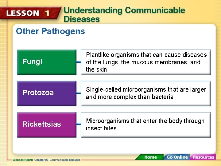 Other Pathogens Fungi Plantlike organisms that can cause diseases of the lungs, the mucous