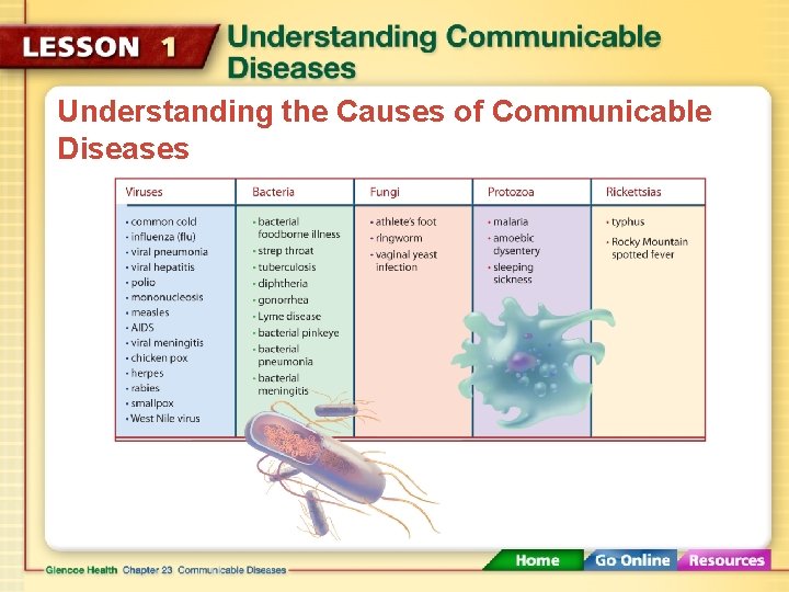 Understanding the Causes of Communicable Diseases 