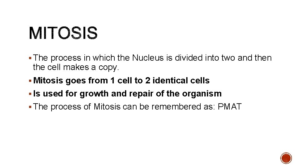 § The process in which the Nucleus is divided into two and then the