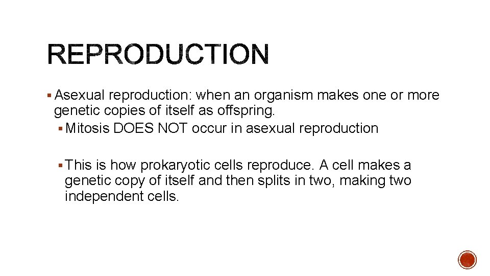 § Asexual reproduction: when an organism makes one or more genetic copies of itself