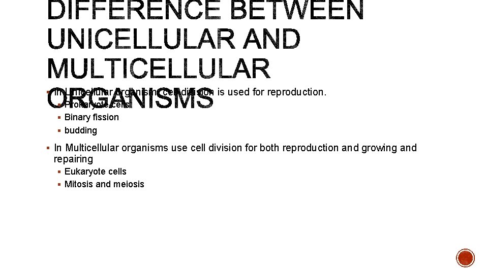 § In Unicellular organism, cell division is used for reproduction. § Prokaryote cells §