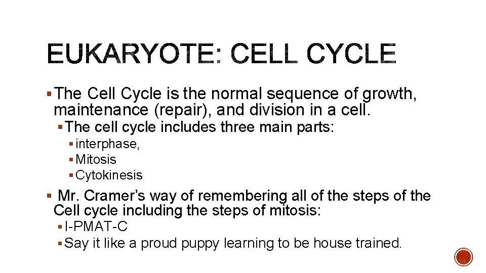 § The Cell Cycle is the normal sequence of growth, maintenance (repair), and division
