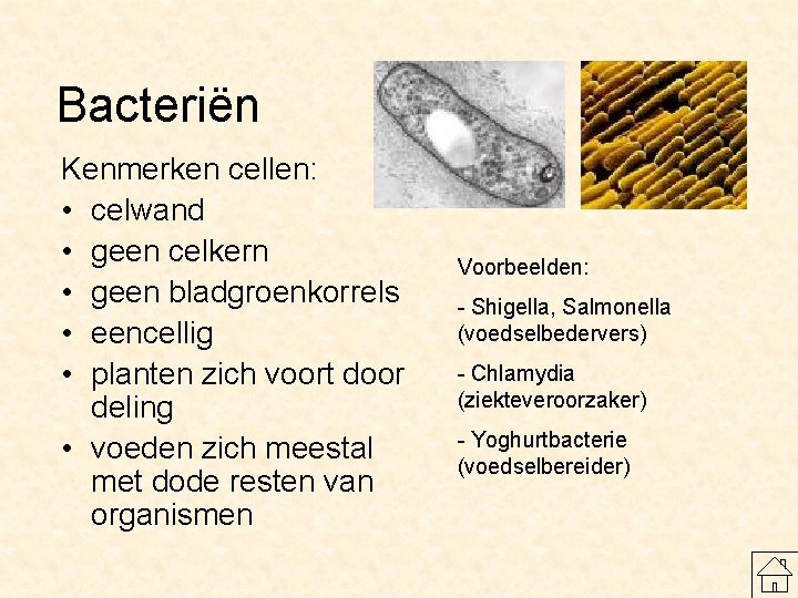 Bacteriën Kenmerken cellen: • celwand • geen celkern • geen bladgroenkorrels • eencellig •