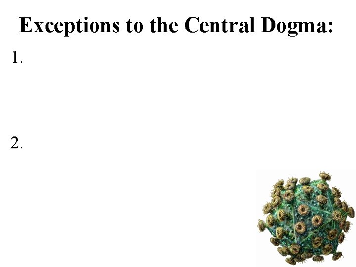 Exceptions to the Central Dogma: 1. 2. 