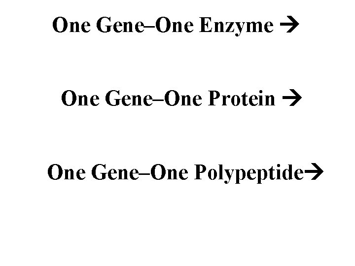 One Gene–One Enzyme One Gene–One Protein One Gene–One Polypeptide 