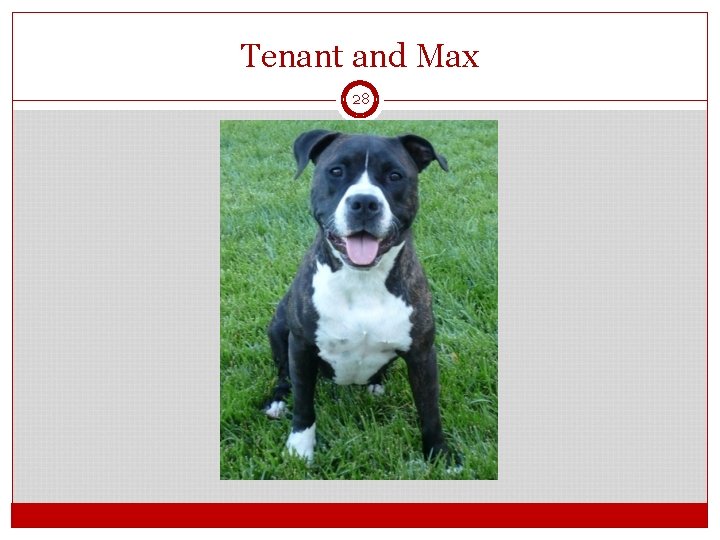 Tenant and Max 28 