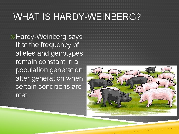 WHAT IS HARDY-WEINBERG? Hardy-Weinberg says that the frequency of alleles and genotypes remain constant