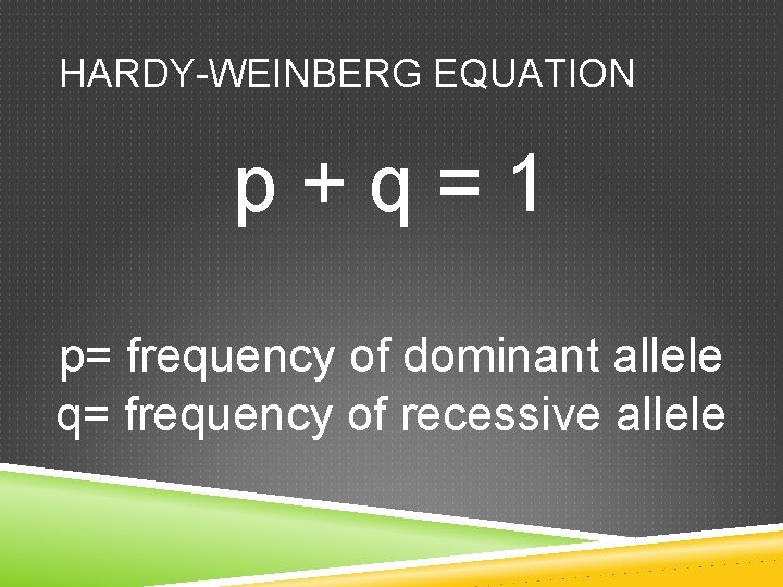 HARDY-WEINBERG EQUATION p+q=1 p= frequency of dominant allele q= frequency of recessive allele 