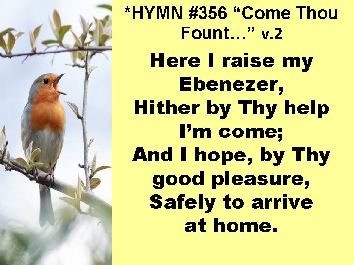 *HYMN #356 “Come Thou Fount…” v. 2 Here I raise my Ebenezer, Hither by