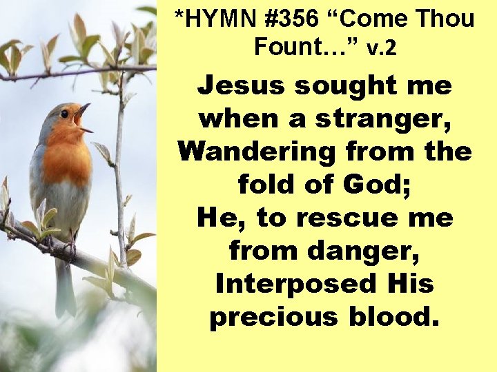 *HYMN #356 “Come Thou Fount…” v. 2 Jesus sought me when a stranger, Wandering