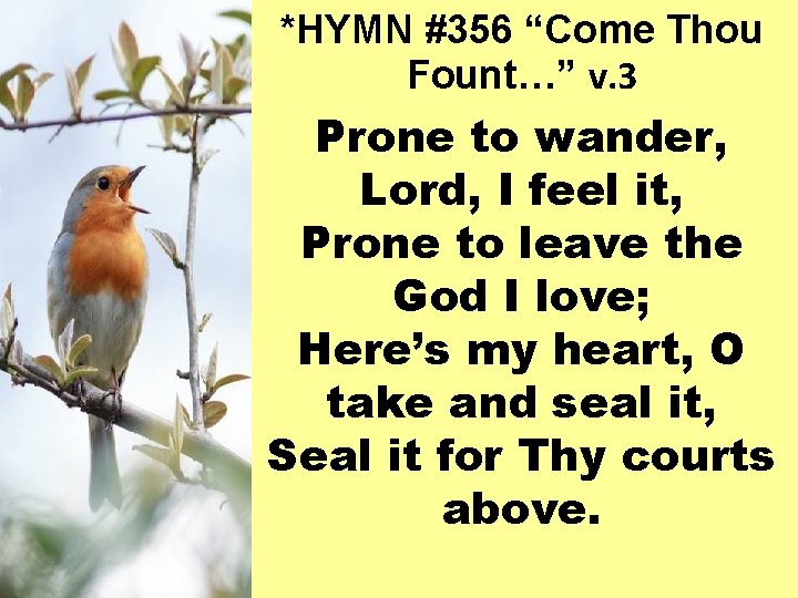 *HYMN #356 “Come Thou Fount…” v. 3 Prone to wander, Lord, I feel it,