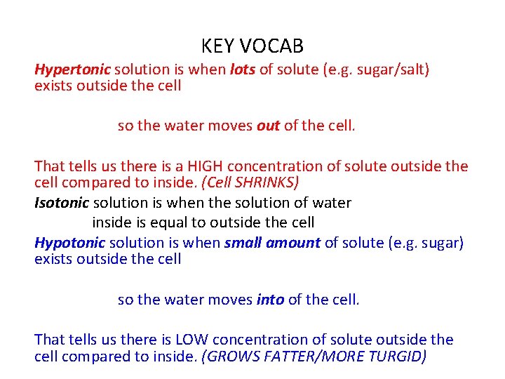 KEY VOCAB Hypertonic solution is when lots of solute (e. g. sugar/salt) exists outside