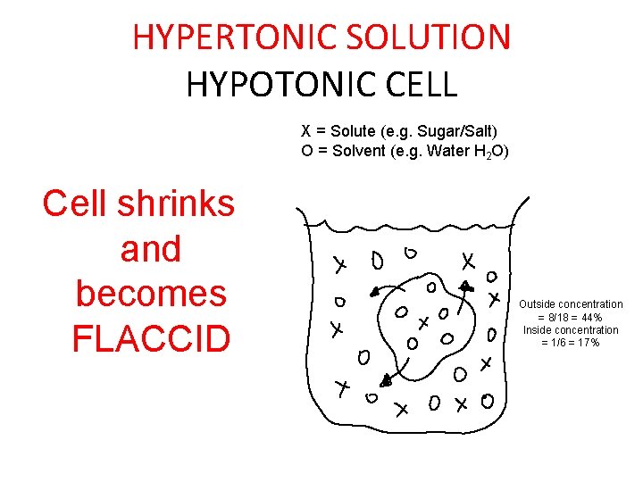 HYPERTONIC SOLUTION HYPOTONIC CELL X = Solute (e. g. Sugar/Salt) O = Solvent (e.