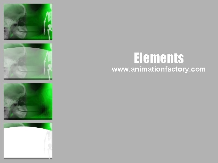 Elements www. animationfactory. com 