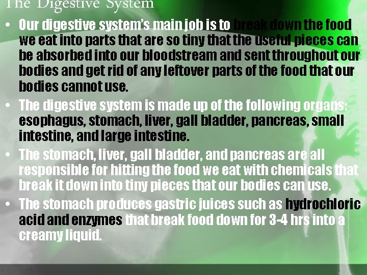 The Digestive System • Our digestive system’s main job is to break down the