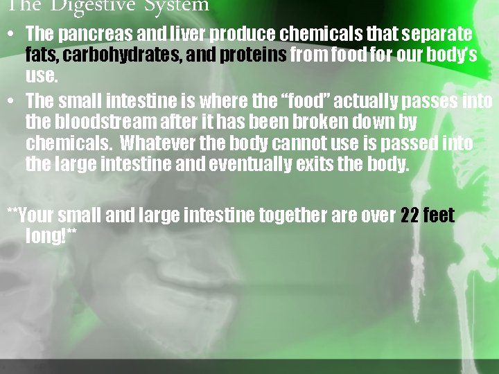 The Digestive System • The pancreas and liver produce chemicals that separate fats, carbohydrates,