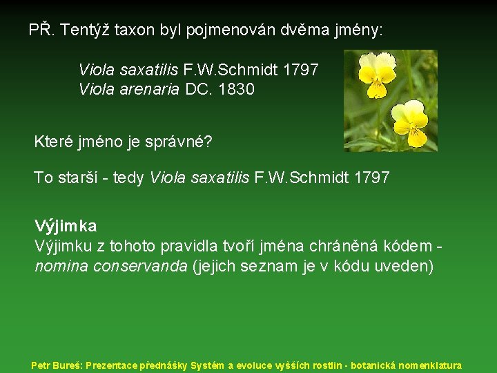 PŘ. Tentýž taxon byl pojmenován dvěma jmény: Viola saxatilis F. W. Schmidt 1797 Viola