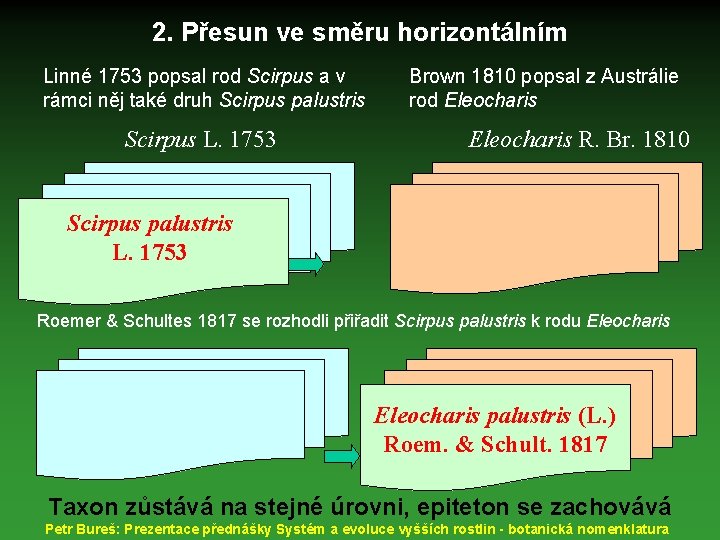 2. Přesun ve směru horizontálním Linné 1753 popsal rod Scirpus a v rámci něj