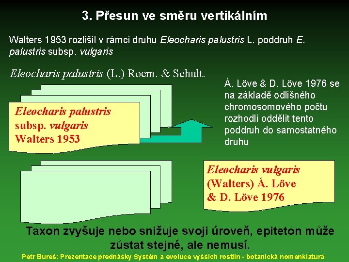 3. Přesun ve směru vertikálním Walters 1953 rozlišil v rámci druhu Eleocharis palustris L.