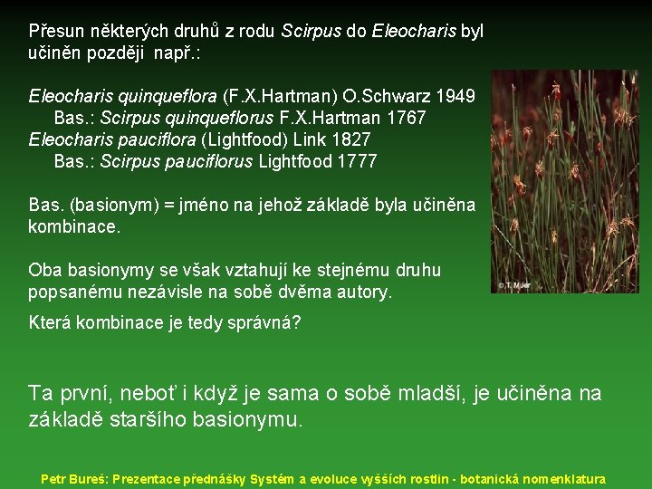 Přesun některých druhů z rodu Scirpus do Eleocharis byl učiněn později např. : Eleocharis