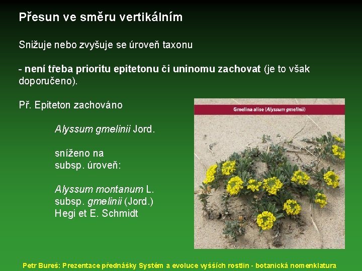Přesun ve směru vertikálním Snižuje nebo zvyšuje se úroveň taxonu - není třeba prioritu
