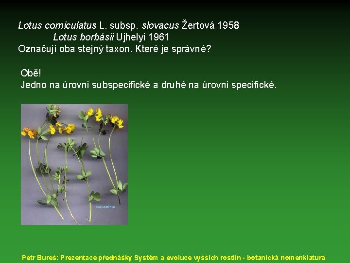 Lotus corniculatus L. subsp. slovacus Žertová 1958 Lotus borbásii Ujhelyi 1961 Označují oba stejný