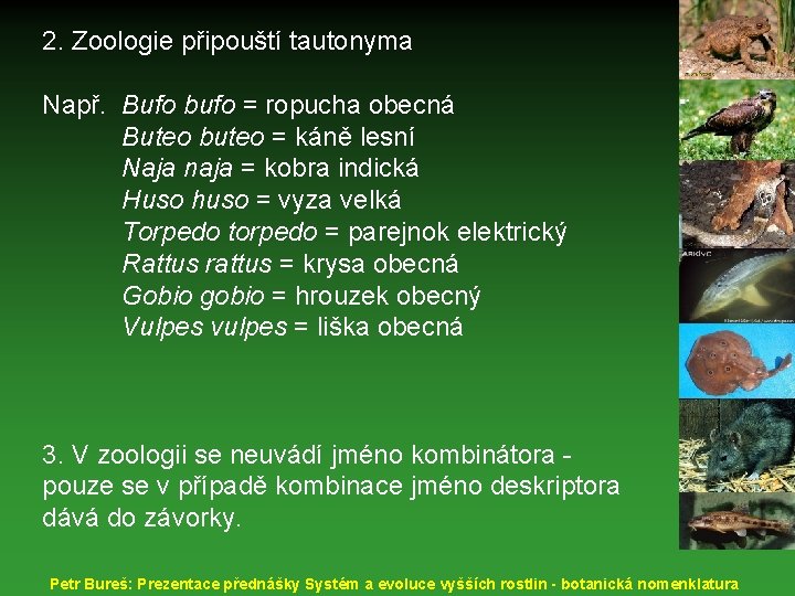 2. Zoologie připouští tautonyma Např. Bufo bufo = ropucha obecná Buteo buteo = káně