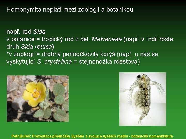 Homonymita neplatí mezi zoologií a botanikou např. rod Sida v botanice = tropický rod