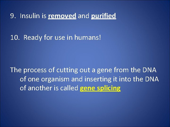 9. Insulin is removed and purified 10. Ready for use in humans! The process