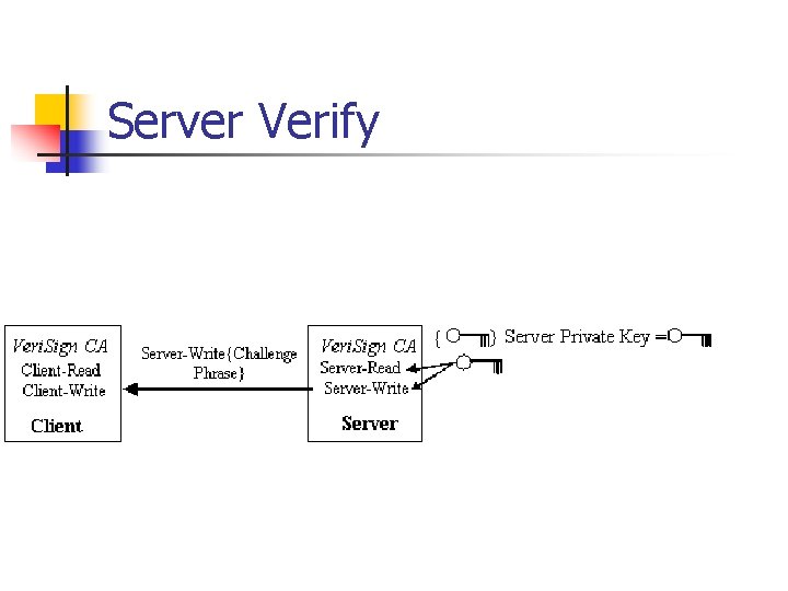 Server Verify 