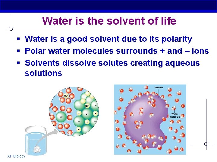 Water is the solvent of life § Water is a good solvent due to