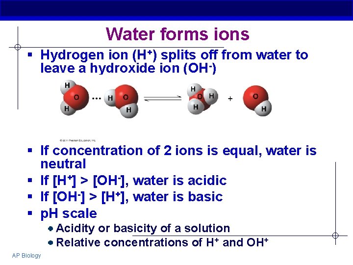 Water forms ions § Hydrogen ion (H+) splits off from water to leave a