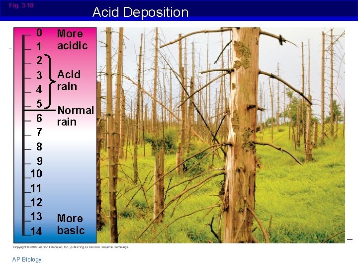 Fig. 3 -10 0 1 2 3 4 5 6 7 8 9 10