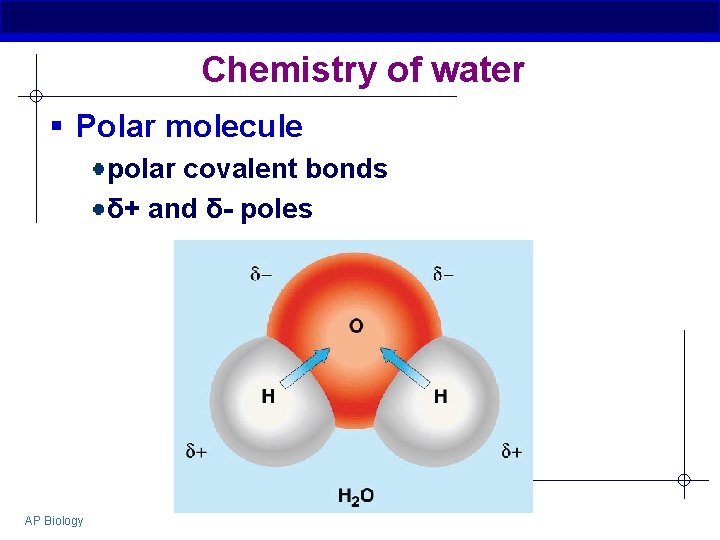 Chemistry of water § Polar molecule polar covalent bonds δ+ and δ- poles AP