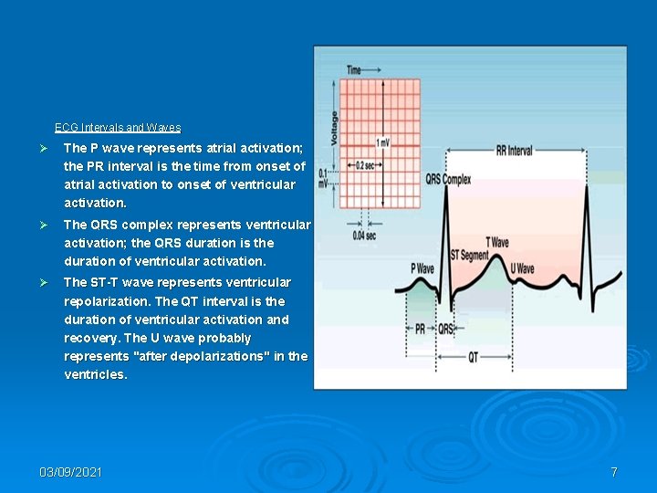 ECG Intervals and Waves Ø The P wave represents atrial activation; the PR interval