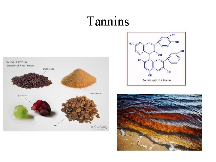 Tannins 