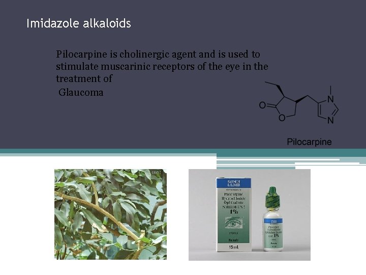 Imidazole alkaloids Pilocarpine is cholinergic agent and is used to stimulate muscarinic receptors of