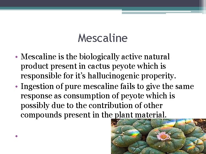 Mescaline • Mescaline is the biologically active natural product present in cactus peyote which