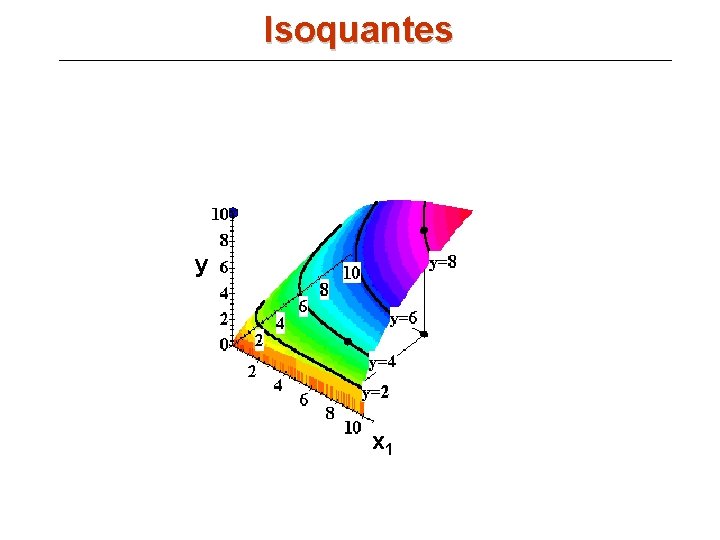 Isoquantes y x 1 