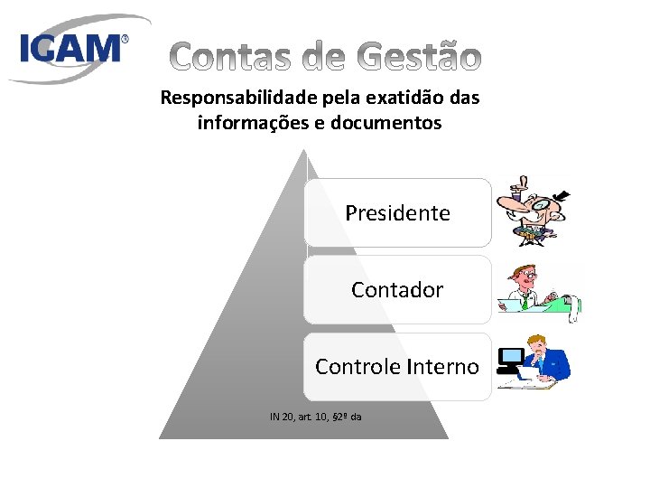 Responsabilidade pela exatidão das informações e documentos Presidente Contador Controle Interno IN 20, art.