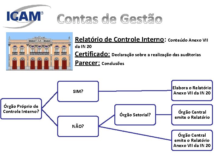 Relatório de Controle Interno: Conteúdo Anexo VII da IN 20 Certificado: Declaração sobre a